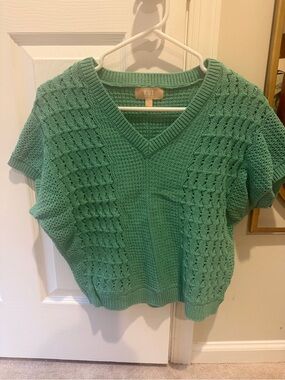Kut from the Kloth Tilda Green V-Neck Short Sleeve Knit Sweater